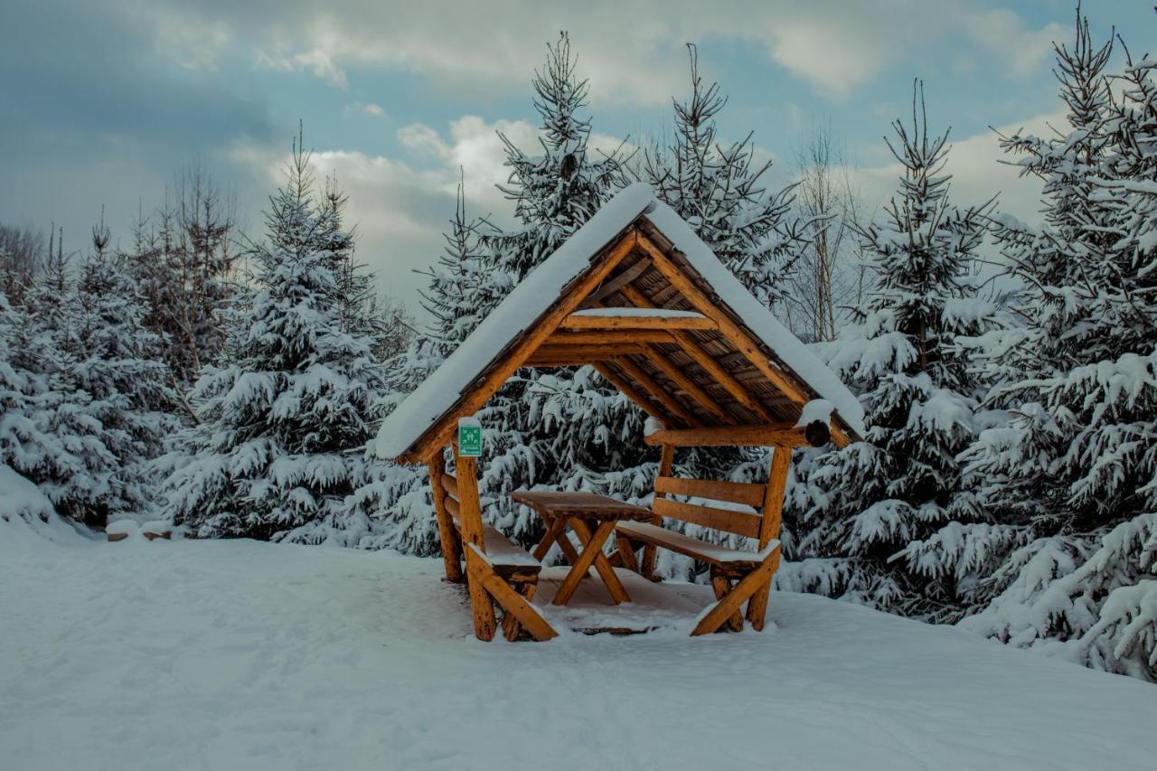 Conacul Drahneilor Hotel Ruscova Buitenkant foto
