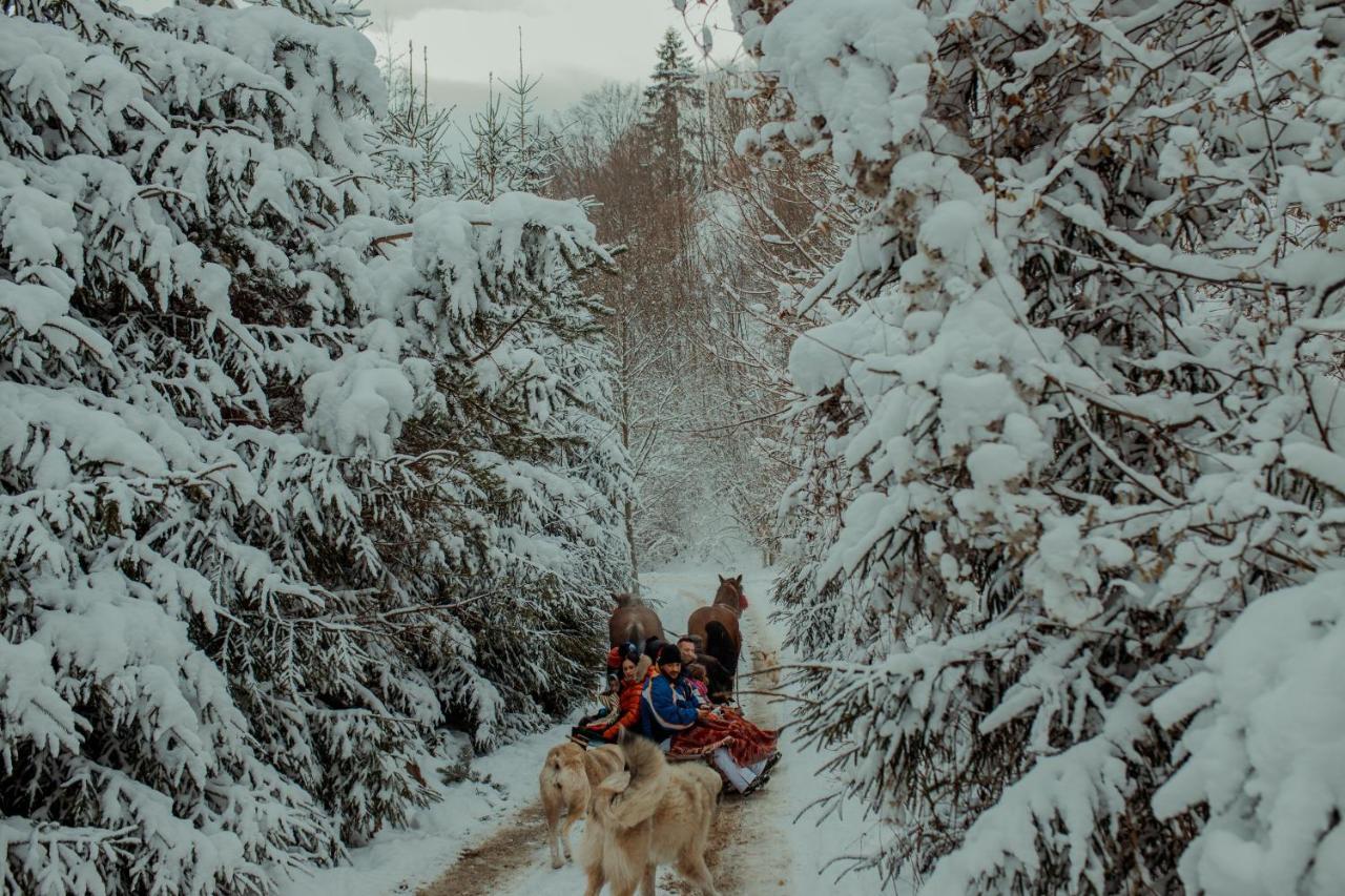 Conacul Drahneilor Hotel Ruscova Buitenkant foto