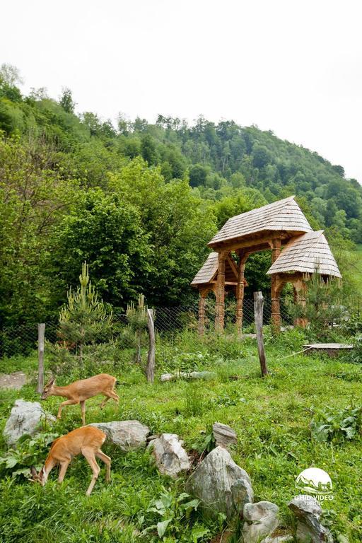 Conacul Drahneilor Hotel Ruscova Buitenkant foto