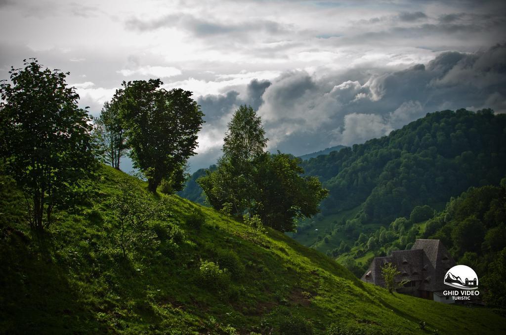 Conacul Drahneilor Hotel Ruscova Buitenkant foto