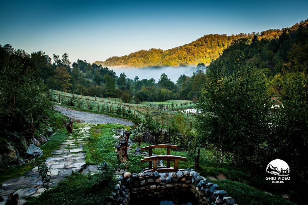 Conacul Drahneilor Hotel Ruscova Buitenkant foto